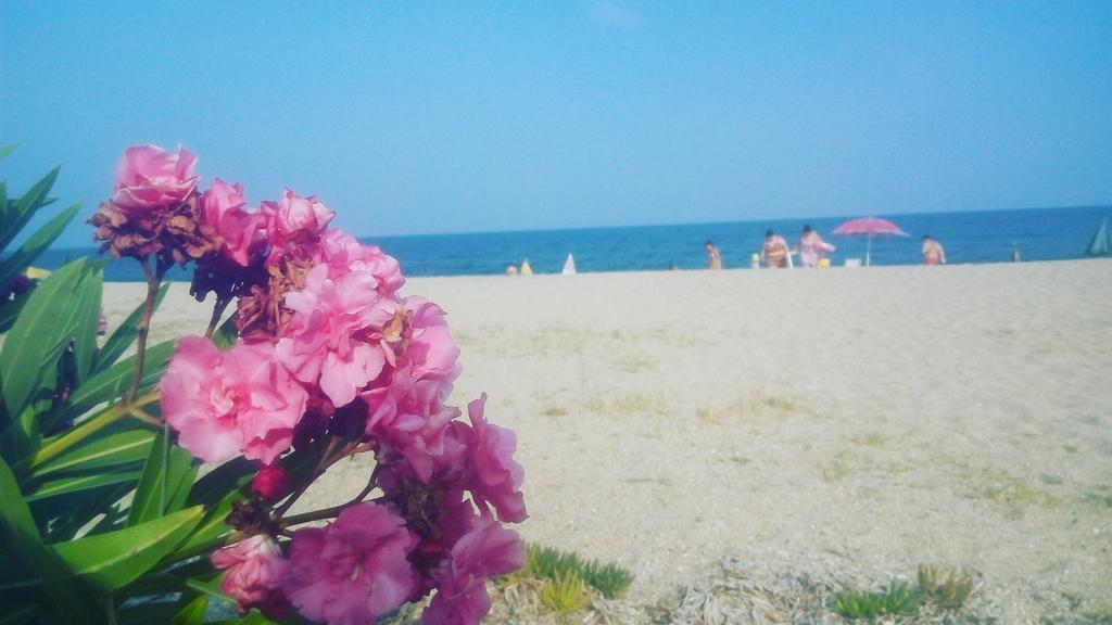 Island Apartments Vrasná Dış mekan fotoğraf